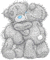 teddylove